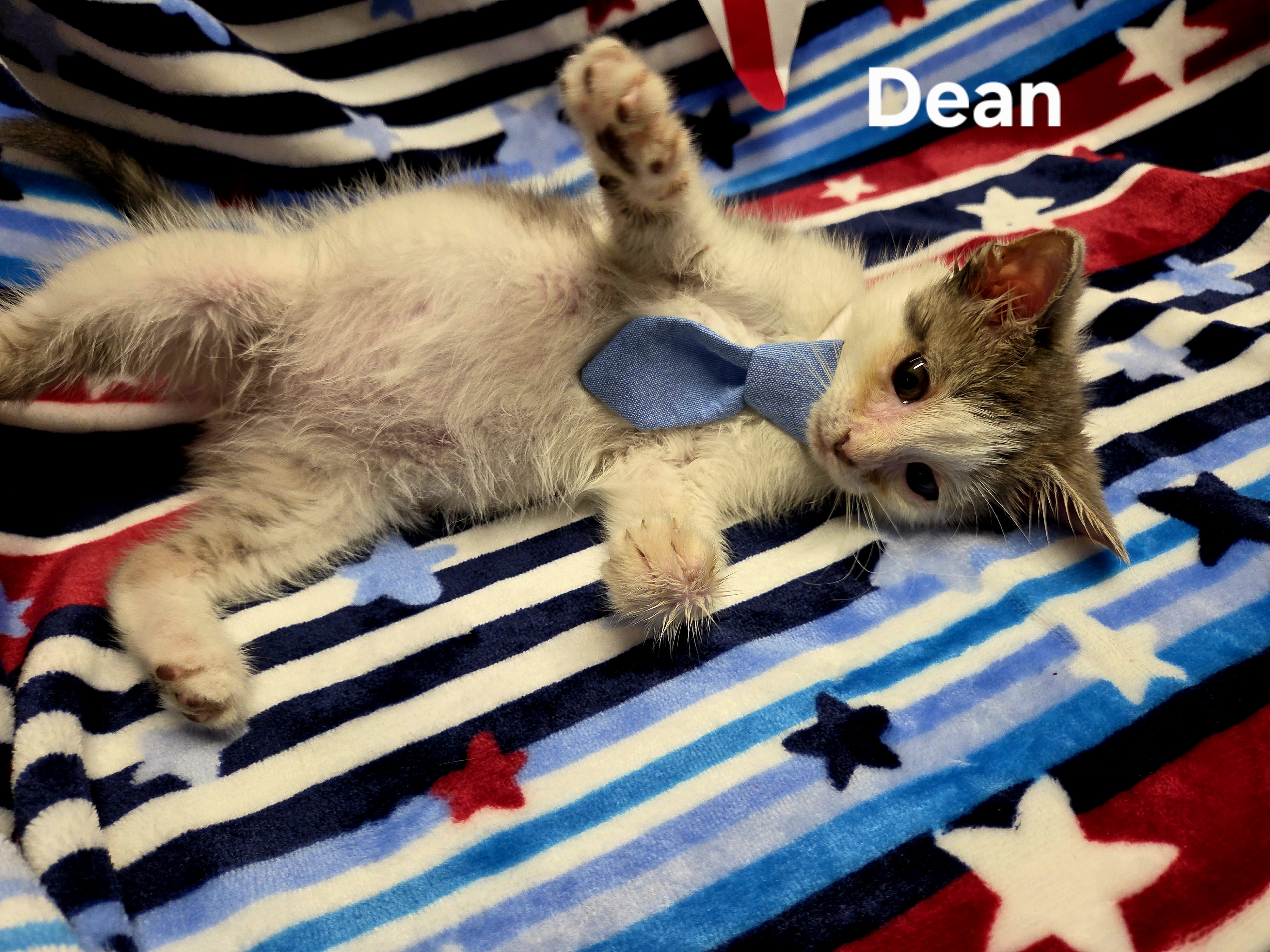 Dean